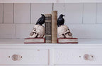 Evil Omen Raven On Skull Perch Decorative Bookend Set