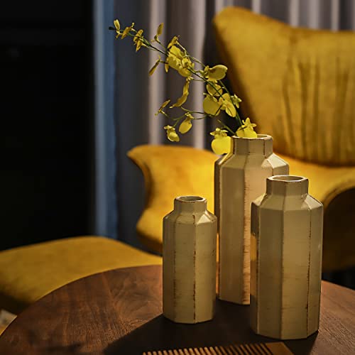 LUKA Ceramic Rustic Farmhouse Vase Set of 3,Ice Cracked Glazed Terracotta Vase,Large Vases for Decor,Fall Decoratiion Vases for Home, Table, Living Room, Shelf - color: 18096lms-ec-beige