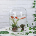 13" High 10.6" Wide Large Handmade Clear Modern Glass Vase, Glass Flower Vase, Scandinavian Glass Vase, Glass Container, Glass Terrarium, Hurricane, Fish Bowl, Centerpiece (Clear, 10.6"x13") - size: 10.6"x13"