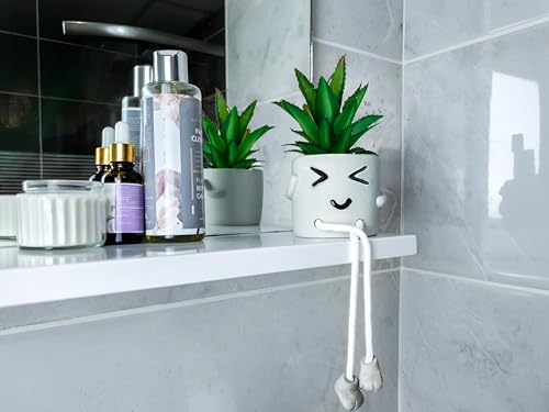 OLEEK small fake plants office decor - fake succulents plants artificial for desk decor - fake plant office decorations for work - office decor for women - office plants cubicle accessories room décor - size: Fuzz (Set of 1)