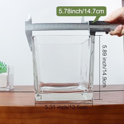 1 Pack Square Glass Vase 6" x 6" x 6", Clear Flower Vase for Centerpieces, Candle Holder for Wedding Party Events, Home Décor - size: 6inch