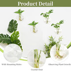 XXXFLOWER Wall Hanging Glass Terrariums，Clear Planters Propagation Station Glass Flower Vase,Air Plant Terrariums for Hydroponic Plants,Home Office Decor,Gifts,Heart-Shaped Set of 4 - size: 4 Love Wall Hanging