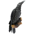 Design Toscano The Raven's Perch Gothic Decor Wall Sculpture, Single