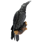 Design Toscano The Raven's Perch Gothic Decor Wall Sculpture, Single