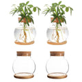 Plant Propagation Station,Hydroponic Glass Container Vase Jars, with Wooden Saucer for Desks, Houses, Garden Decorations, Home Kitchen Decorations and Gifts for Plant Lovers (4)