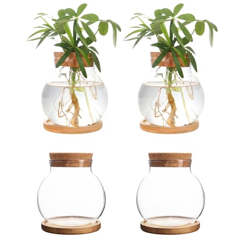 Plant Propagation Station,Hydroponic Glass Container Vase Jars, with Wooden Saucer for Desks, Houses, Garden Decorations, Home Kitchen Decorations and Gifts for Plant Lovers (4)