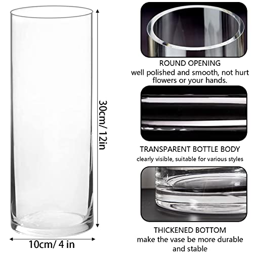 DARENYI Clear Glass Vase for Flowers, 12 inches Tall Cylinder Vase Decorative for Centerpiece, Living Room, Floating Candle, Office, Wedding or Gifts