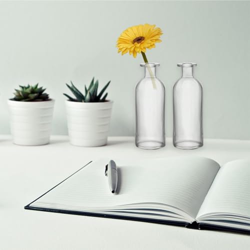 Nexboraque 12 Pack Glass Bud Vases, Clear Small Vases in Bulk Decorative Glass Flower Bottles for Table Centerpiece, Home Decor, Office, Wedding Reception