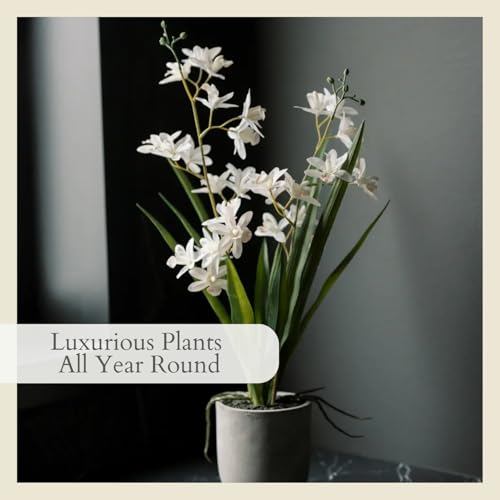 CG Hunter Faux Vanda Orchid Plant, Premium Artificial Indoor Flower Display Stands 20.5”, Beautiful Sculptural Blooms that Lasts Forever, White Planter Pot Included - size: 20.5" Vanda Orchid