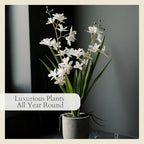 CG Hunter Faux Vanda Orchid Plant, Premium Artificial Indoor Flower Display Stands 20.5”, Beautiful Sculptural Blooms that Lasts Forever, White Planter Pot Included - size: 20.5" Vanda Orchid