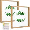 MUYE 10x10 Floating Frame Set of 2,Double Glass Square Photo Frame,Display Any Size Photo up to 10x10,Wall Mount or Tabletop Standing,Natural - color: Natural, size: 10x10