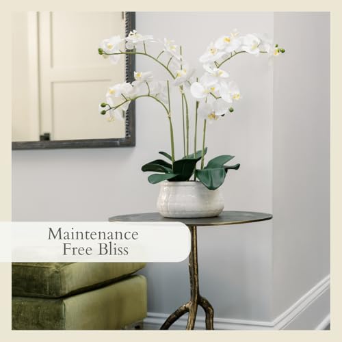 CG Hunter Faux White Orchid Plant, Premium Artificial Indoor Flower Display Stands 23”, Beautiful Sculptural Blooms That Lasts Forever, White Planter Pot Included - size: 23" White 4-Stem Orchid