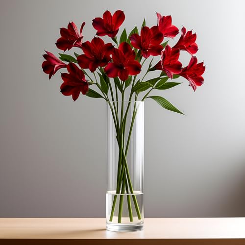 CYS Excel Clear Glass Cylinder Flower Vase, 14" Height x 4" Diameter, Elegant Hand-Blown Glass Wedding Floral Centerpiece Versatile Hurricane Candle Holder - size: H-14" D-4"