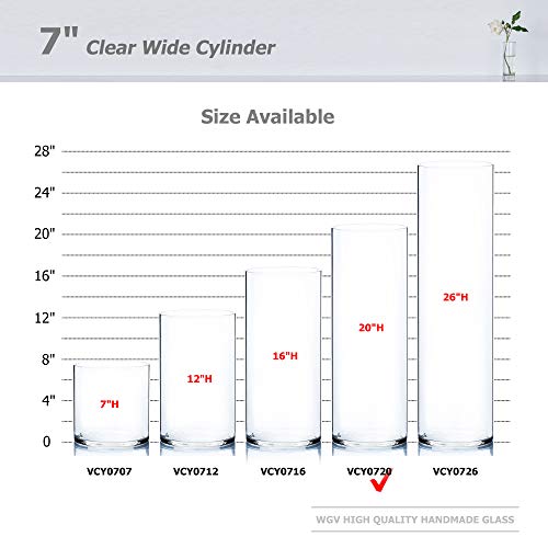 WGV Cylinder Vase, Width 7", Height 20", Clear Wide Large Diameter Flower Glassware, Floral Container, Planter Terrarium for Wedding Party Event, Home Accent Decor, 1 Piece - size: 7"x20"H