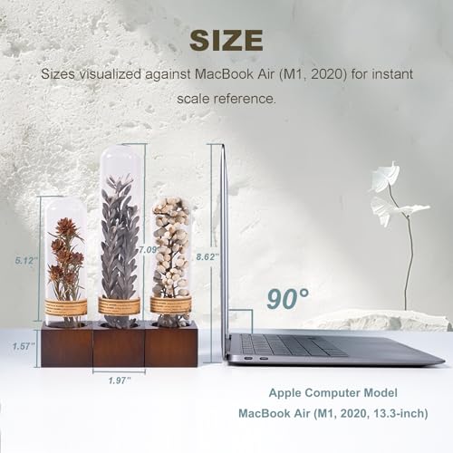 3Pcs Dried Flower Decor,Knick Knacks for Shelves,Cool Stuff for Bookshelf,Small Plants Decor for Office Shelves,Natural Green Plants Boho Shelf Decor,Apothecary Decor,Unique Gifts for Women,Friends - color: Minimalist Neutral Trio,3-piece Set