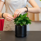 D'vine Dev Set of 4 Small Ceramic Plant Pots, 4.7 Inch Succulent Planter Pot for Plants with Drainage Hole and Saucer, Black, 94-X-B-2 - color: Black, size: 4.7 Inch