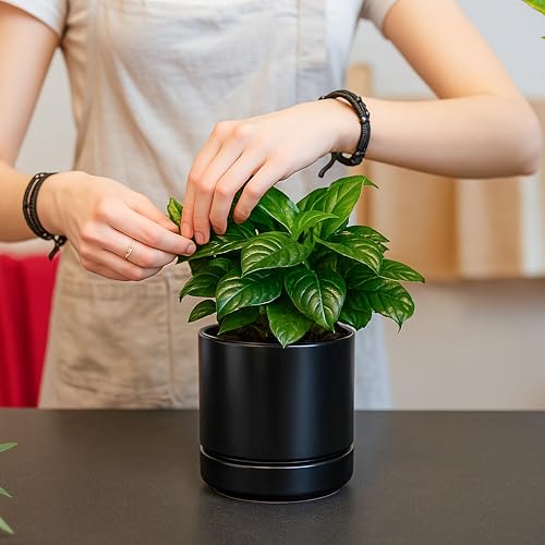 D'vine Dev Set of 2 Plants Pot, 4.7 Inch Ceramic Planter Pot for Plants with Drainage Hole and Saucer, Black, 94-V-B-2 - color: Black, size: 4.7 Inch