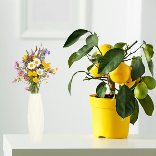 1Pc White Nordic Style Vase - Modern Minimalist Decorative Flower Container for Home and Office Decor 8.26 Inch Tall