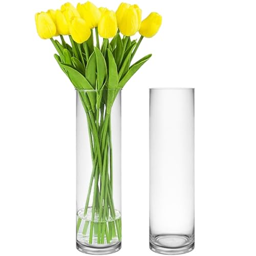 CYS Excel 2 PCS Clear Glass Cylinder Vase (D:4" H:16") | Multiple Size Choices Glass Flower Vase Centerpieces | Hurricane Floating Candle Holder Vase - size: 4" wide x 16" tall