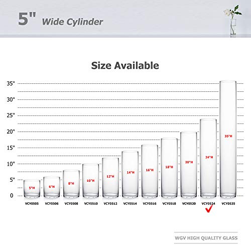 WGV Cylinder Vase, Diameter 5", Height 24", Clear Glass Floral Planter Container, Tall Centerpiece Arrangement for Wedding Party Event Home Office Decor, 1 Piece - size: 5"x24"H CL