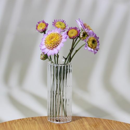 2Pcs Clear Mini Vase, Miniature Vases, Cat Whisker Vase, Miniature Stuff for Tiny Houses Decoration DIY Micro Landscape Items