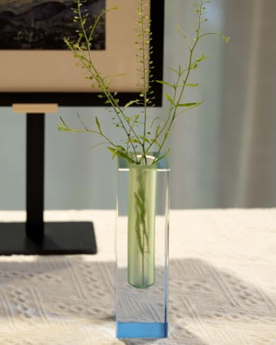 Acrylic Vase, Bud Vase for Centerpieces, Maximalist Decor Cute Flowers Vases for Modern Home, Office, Bedroom, Living Room, Dining Table (Green, Blue) - color: Green, Blue