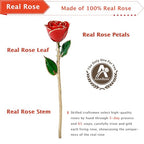 AliveRose Valentines Day Gift for Her Roses, Unique Design Gold Dipped Rose for Anniversary Valentines Mothers Day Birthday Gifts (Red Handmade with Crystal Vase) - color: A0. Red Handmade Rose White Crystal Vase