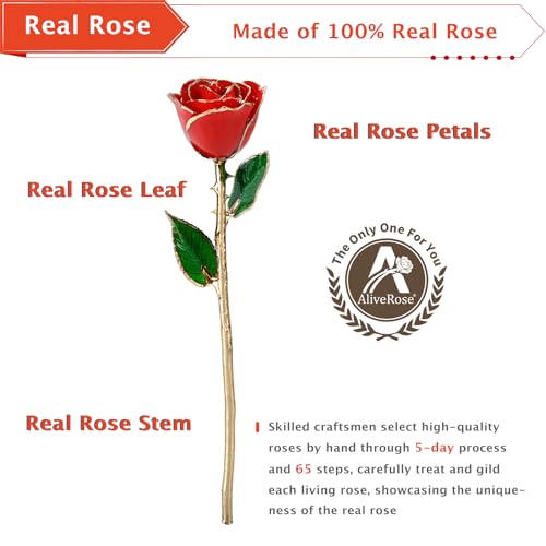 AliveRose Valentines Day Gift for Her Roses, Unique Design Gold Dipped Rose for Anniversary Valentines Mothers Day Birthday Gifts (Red Handmade with Crystal Vase) - color: A0. Red Handmade Rose White Crystal Vase
