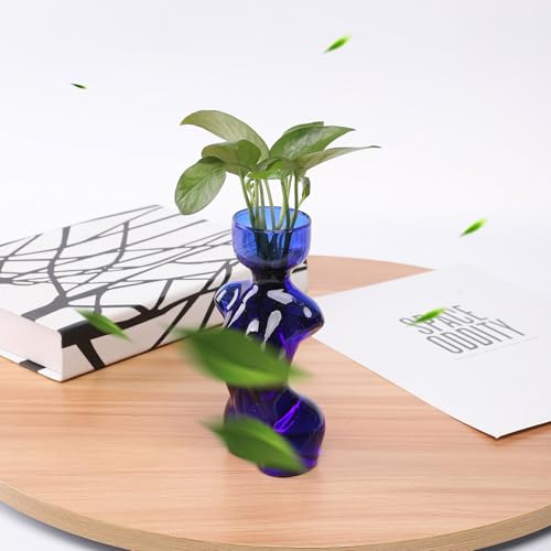 Propagation Vases for Plants Plant Propagation Jars Unique Body Avocado Vase Glass Planter Perfect for Seed Starting Water Rooting and Home Decor Gift for Father - color: Grey Blue