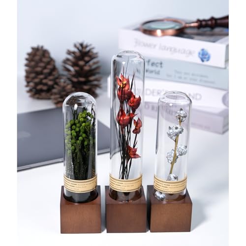 3Pcs Dried Flower Decor,Knick Knacks for Shelves,Cool Stuff for Bookshelf,Small Plants Decor for Office Shelves,Natural Green Plants Boho Shelf Decor,Apothecary Decor,Unique Gifts for Women,Friends - color: Vintage Red Trio,3-piece Set