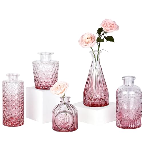 TBWIND Pink Day Glass Bud Vase Set of 5, Small Flower Vases for Centerpieces in Bulk, Mini Vintage Vase for Wedding Decor, Single Flowers, and Home Table Décor - color: 5pcs-pink
