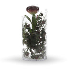 WGV Cylinder Vase, Width 7", Height 12", Clear Wide Large Diameter Flower Glassware, Floral Container, Planter Terrarium for Wedding Party Event, Home Accent Decor, 1 Piece - size: 7"x12"H