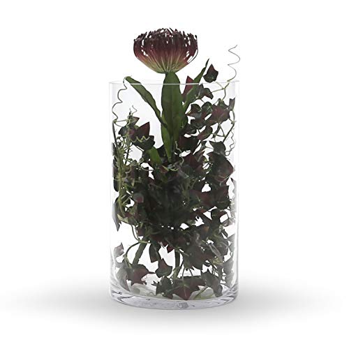 WGV Cylinder Vase, Width 7", Height 12", Clear Wide Large Diameter Flower Glassware, Floral Container, Planter Terrarium for Wedding Party Event, Home Accent Decor, 1 Piece - size: 7"x12"H