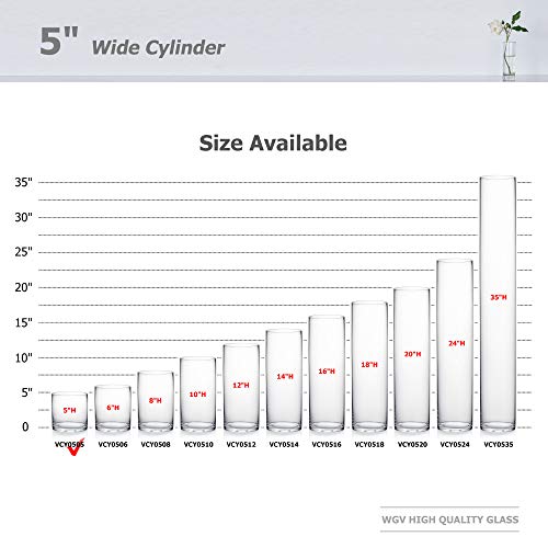 WGV Cylinder Glass Vase, Diameter 5", Height 5", Clear Glass Floral Planter Container, Floating Candle Holder for Wedding Party Event Home Office Decor, 1 Piece - size: 5"x5"H CL