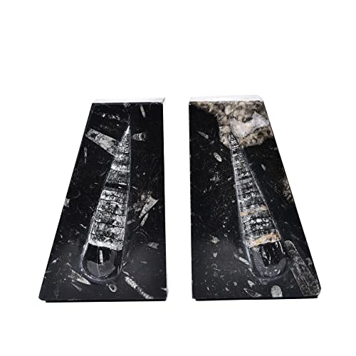 AMOYSTONE 1Pair Heavy Duty Bookend Crystal Quartz Bookends 6-8 LBS Natural Orthoceras Fossil Bookshelf Trapezoid Height 6.2" - color: Black & White B, size: 6-8 Lbs