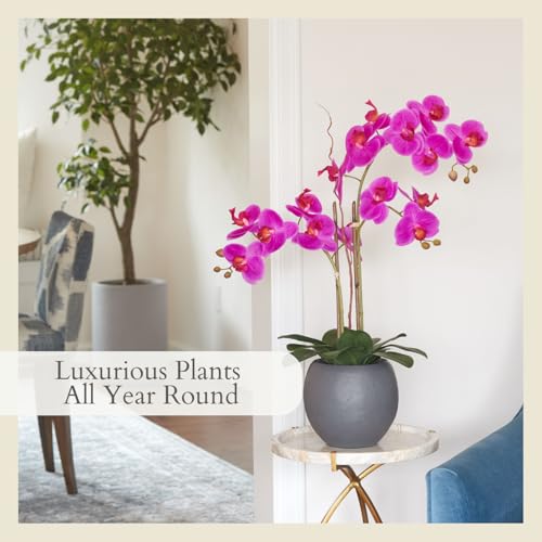 CG Hunter Faux Pink Orchid Plant, Premium Artificial Indoor Flower Display Stands 25-Inches with Beautiful Sculptural Blooms and Foliage that Lasts Forever, Grey Planter Pot Included - size: 25" Pink Double Stem