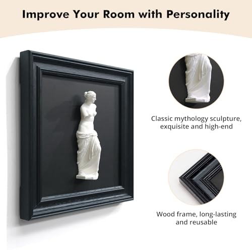 FOLKOR LIFE Framed Black and White Wall Art Sculpture Venus, Greek Roman Mythology Goddess Aphrodite Statue Framed Plaster Relief Wall Decor for Room, Hallway, Entryway, Housewarming, New Home Gift - color: Statue of Venus