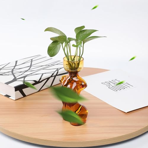 Propagation Vases for Plants Plant Propagation Jars Unique Body Avocado Vase Glass Planter Perfect for Seed Starting Water Rooting and Home Decor Gift for Father - color: Amber