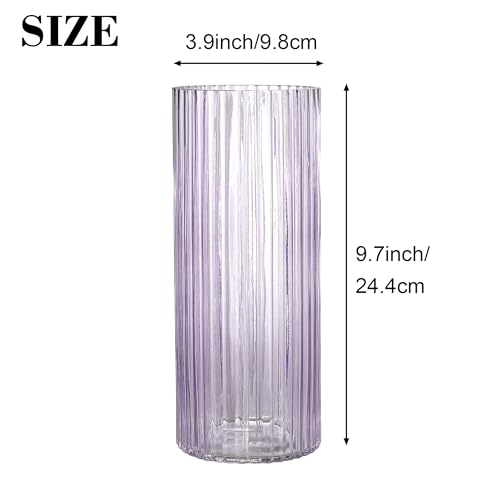 Purple Glass Vase for Flowers, Ribbed Glass Vase for Tulips, Modern Purple Vases, Tall Cylinder Glass Vases for Living Room, Bedroom, Dining Table, Office, Wedding, Bookshelf, 10 Inches - color: Purple, size: 10''