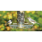 Aspects 050 Round Seed Tray, 8.5" Diameter