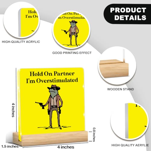 Funny Office Decor Funny Office Gifts Hold On Partner Im Overstimulated Sign Work Desk Decor Acrylic Humor Gifts for Women Men Coworker Friend Home Office Decorations - color: Hold On Partner I'm Overstimulated