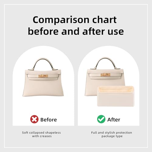 DGAZ Luxury Handbag & Tote Organizer, Silk Purse Organizer, Fits mini Kelly Bags (Craie, miniKelly2) - color: Craie, size: miniKelly2