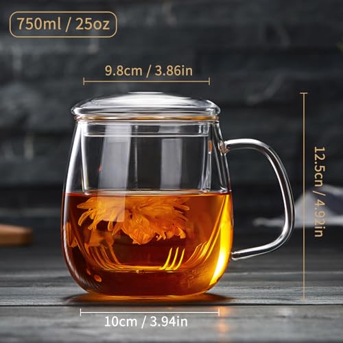 DOPUDO Large Glass Tea Cup, 25.6 oz Borosilicate Glass Tea Mug with Infuser and Lid, Clear Tea Cups for Brewing Scented Tea and Tea Bag. - size: 25.6OZ