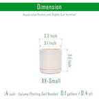 D'vine Dev Set of 4 Small Ceramic Plant Pots, 3.5 Inch Succulent Planter Pot for Plants with Drainage Hole and Saucer, Oatmeal, 94-X-A-8 - color: Oatmeal, size: 3.5 Inch