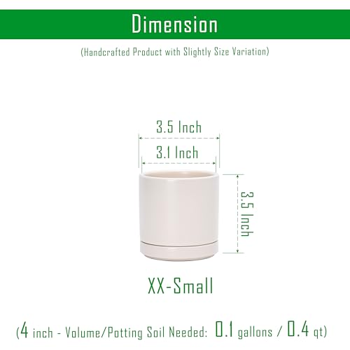 D'vine Dev Set of 4 Small Ceramic Plant Pots, 3.5 Inch Succulent Planter Pot for Plants with Drainage Hole and Saucer, Oatmeal, 94-X-A-8 - color: Oatmeal, size: 3.5 Inch