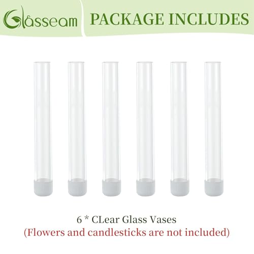Glasseam Glass Bud Vase for Flowers: 6pcs Clear Small Vases for 22mm Candlestick Taper Candle Holders - 5.9" Skinny Table Centerpieces with Silicon Case for Tablescapes, Wedding Gift and Home Decor