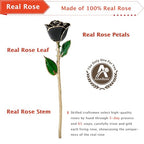AliveRose Anniversary Day Gift for Girlfriend Roses, Unique Design Gold Plated Rose for Anniversary Valentines Mothers Day Birthday Gifts (Balck Handmade with Crystal Vase) - color: A8. Black Handmade Rose White Crystal Vase