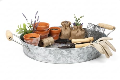 Round Metal Tray with Wooden Handle, Modern Industrial Style, Sleek Rustic Storage Display Coffee Table Home Decor Tray (Clear)