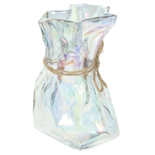 Alipis Abstract Irregular Glass Vase Decorative Flower Holder Hydroponic Floral Arrangement Modern Home Décor Art Centerpiece for Living Room and Office