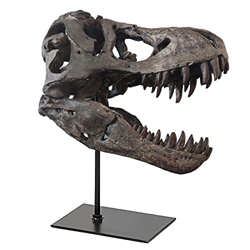 T Rex Skull, Dinosaur Statue Resin Dinosaur Skull Fossil Replica Skeleton Sculptures,Decorative Ornaments for Office Desktop Cabinets Home Kids Adults - color: Large